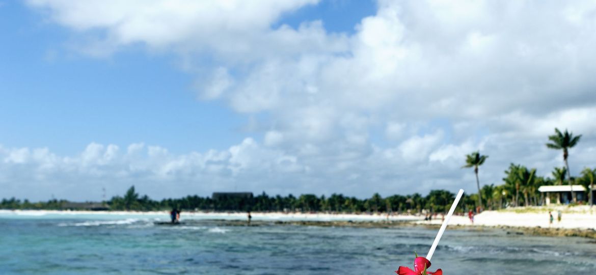 coconut sea